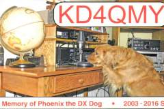 W5L-2019-CD4-099